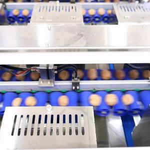 2 Tons Automatic Feeding Walnut Shelling Machine Featured Kernel Shell