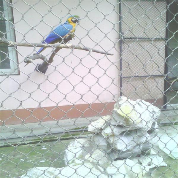 Protection Parrot Aviary Mesh Environmental Enclosure Rust Resistant