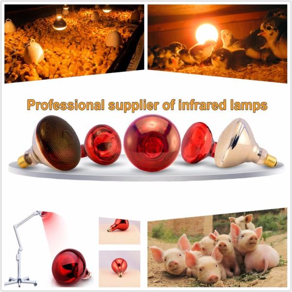 Poultry chicken farm brooder infrared heating lamp with OEM color box