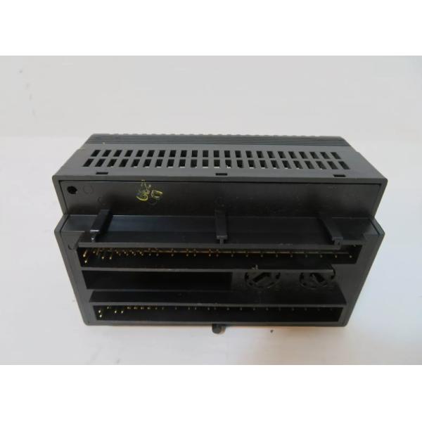 IC200ALG320 GE Analog Input Module 250mm Net Length