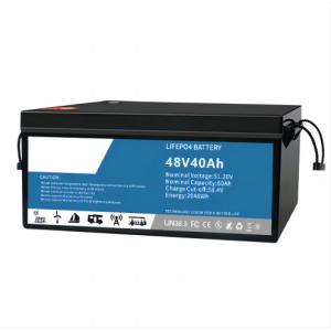 Quality IP54 Enviromental Friendly High Capacity SLA Replacement LifeP04 NIMH Lithium Battery For Electric Low Speed Vehicle for sale