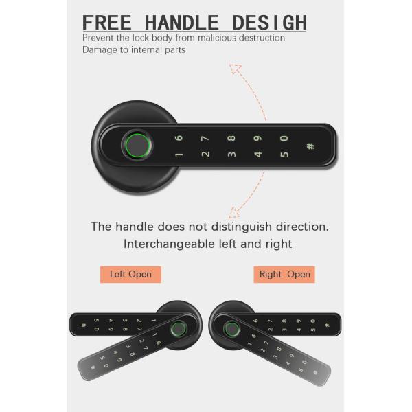 Black Color Tuya APP Door Fingerprint Smart Lock With Handle Type