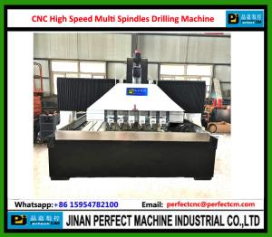 China CNC High Speed Multi Spindles Drilling Machine for Step Holes, Taper Holes, Milling Groove Sieve holes, Vibration Sieve on sale