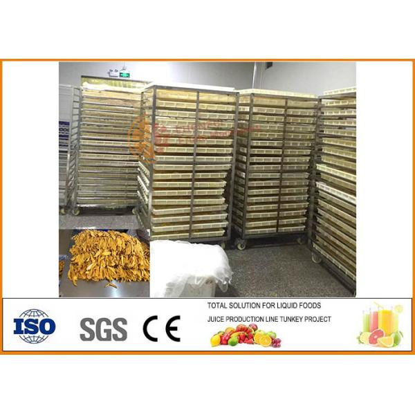 Food Grade SS304 Dried Mango Processing Machine Processing Line 380V / 220V