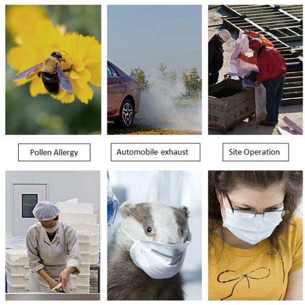Protective Disposable Earloop Mask Bulk 3 Ply Structure Environmental Friendly