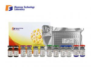 China GABA-B Gamma Aminobutyric Acid B ELISA Kit 96 Wells / 48 Wells 1.05μG/Dl Sensitivity on sale