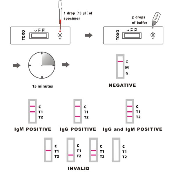 human whole blood TOXO IgG IgM Rapid Test Kit With Excellent Performance