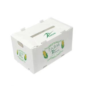 China Polypropylene Corrugated Plastic Fruit Box Packing Storage Transportation on sale