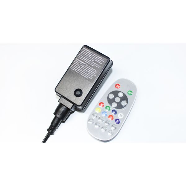 Color Changing Outdoor String Lights RGB LED String Lights G40 Globe Bulbs Dimmable Waterproof String Lights Remote Control