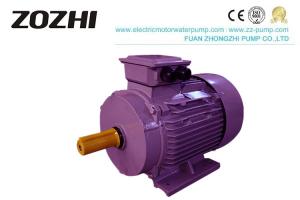 China 4 Pole Three Phase Electric Motor Cast Iron Y2 Vacuum Impregnated Windings on sale