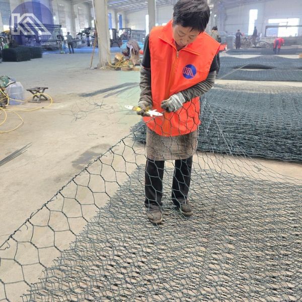 Customized 2 X 1 X 1 m Gabion Box Wire Mesh Netting
