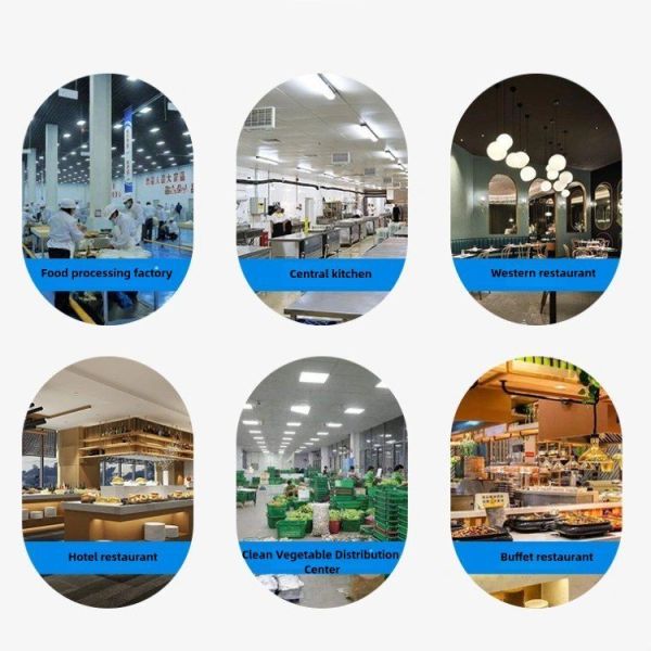 Automatic Processing Slicer Meat Cutting Machine for Food Processing Function Food