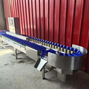 Quality apple grading machine, potato sorting machine, fruit weighing sorting machine for sale