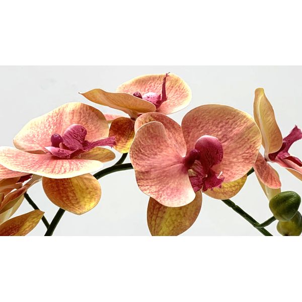 Long Lasting Colorful Artificial Flower Branch Phalaenopsis Aphrodite 83 Cm