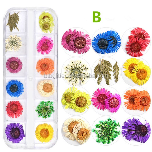 OEM ODM Advantage Customized Manufacture Dry Flower for Arrangements