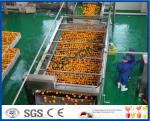 Full Automatic Engery saving Orange Processing Line for Turn Key Project