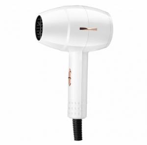 China Dual Voltage Lightweight Blow Dryer , DC Hair Dryer With Concentrator Diffuser on sale