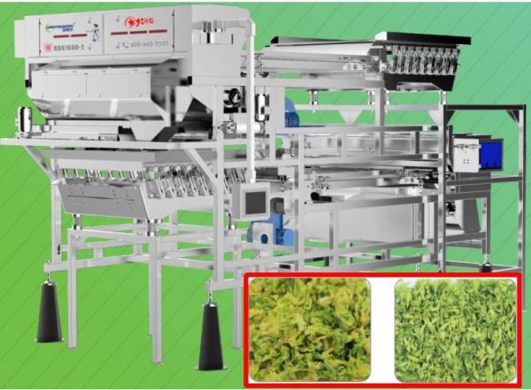 2.0T/H Vegetable Sorting Machine Precise Target Positioning 5400 pixel For