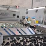 High-capacity Dates Sorting Machine With Deep-learning Technology, 8 lanes+10