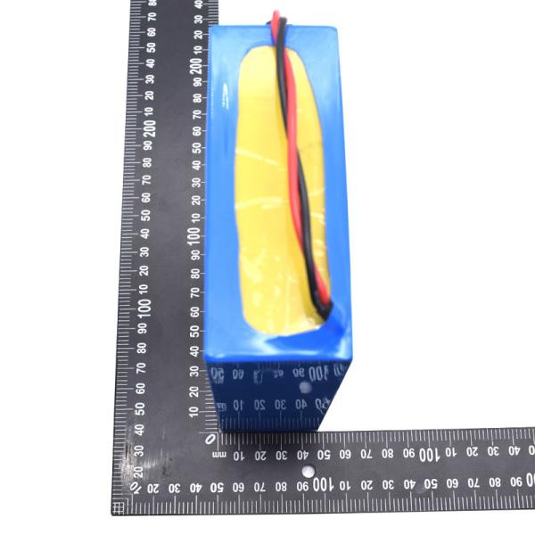 9.6V 10A 96Wh Lithium Lifepo4 Batteries Deep Cycle Pack With BMS