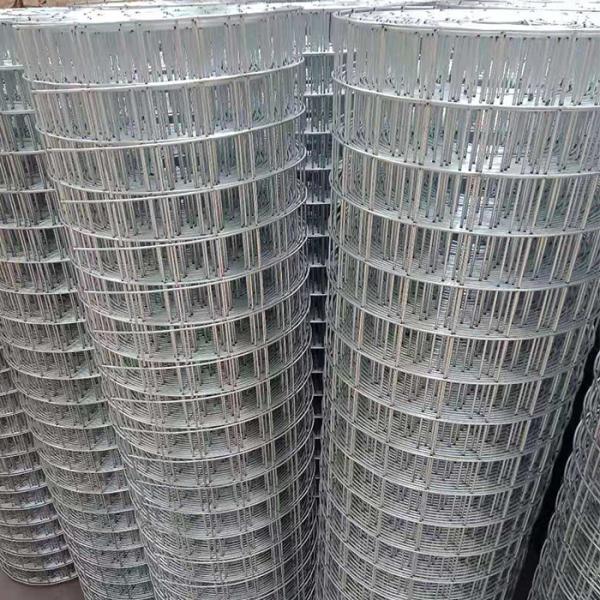 Factory Price High Quality Hot Dipped Galvanized Welded Wire Mesh Farm Mesh Rolls For Livestock