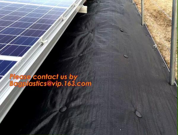 Agricultural garden weed barrier mat/weed barrier cloth,Black plastic anti weed mat/ground cover/weed barrier mat, BAGEA