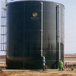 China Biogas Cogeneration Biogas CNG Plant Bio Gas Plant For Home Price on sale
