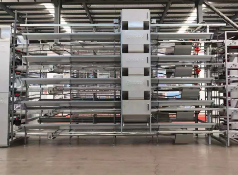 Galvanized Steel Adjustable Height Corrosion Resistant Poultry Feeding System for Broilers