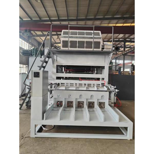 Fully Automatic Paper Pulp Moulding Machine Paper Egg Tray Machine Production Line PLC Controlled Large Capacity 5*8 Molds Rotary Forming