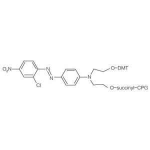 Quality Eclipse Labeling Modifier Oligonucleotide Synthesis Molecular for sale