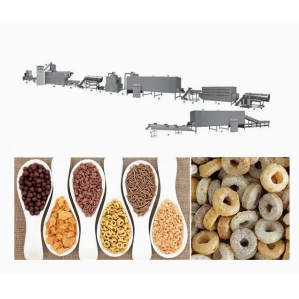High automation Corn Flakes Processing Line with 12 months Warranty