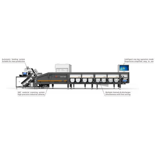 8 Lanes 8 Expectation Discharges Dates Sorting Machine High Output