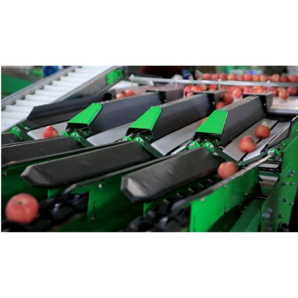 Automatic Electronic Fruit Washing And Waxing Machine 5MT/H
