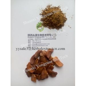 Sky fruit Extract, Fructus Swietenia Macrophylla Extract, reduce blood fat,