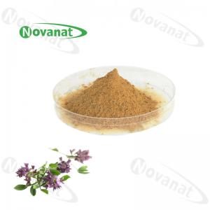 China 100% Natural Alfalfa Extract 5% Saponins / Prevent Constipation / Clean Label on sale