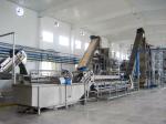 High Quality Customized Mango Juice Processing Machine Mangga/Mango Pulp