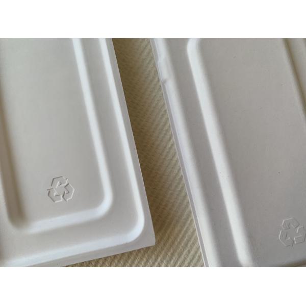 Pulp Dry Press Moulded Fiber Packaging Smooth Eco Friendly