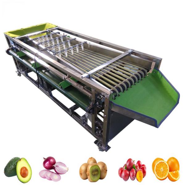Buy Automatic Production And Fruit Size Grader Fruit Vegetable Processing Machine With Washing Function at wholesale prices