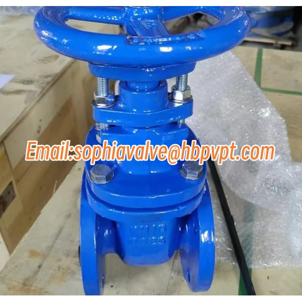 GG25 Non-rising stem cast iron gate valve