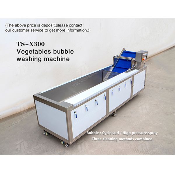 3KW Bubble Circulating Surfing Fruit And Vegetable Washing Machine Ozone Sanitization Bubble