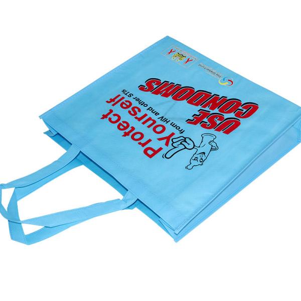 PP Custom Eco Handled Laminated Non Woven Packaging Bags