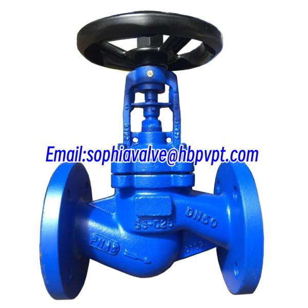 DN50 DN100 DN200 GS-C25 PN16 PN40 bellows globe valve with blue color