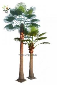 China UVG PTR048 factory price fake coconut palm tree for indoor office landscaping on sale