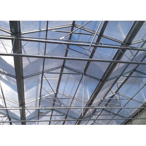 Energy Efficient Multi Functional PC Greenhouse With Seeding Bench - Suitable For Ornamental Plants In Any Climate