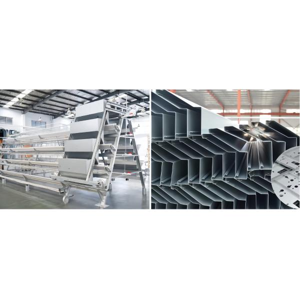 Easy Operate Automatic Poultry Farm Equipment A Type Laying Hen Cages