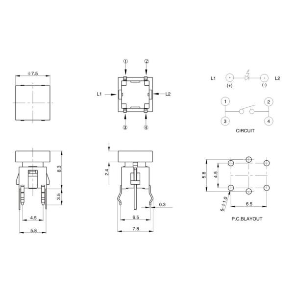 Sealed Illuminated Tact Switch Toggle Light 250V AC 100000 Cycles