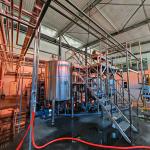 Multifunctional Tomato Processing Line With Turnkey Processing Adjustable