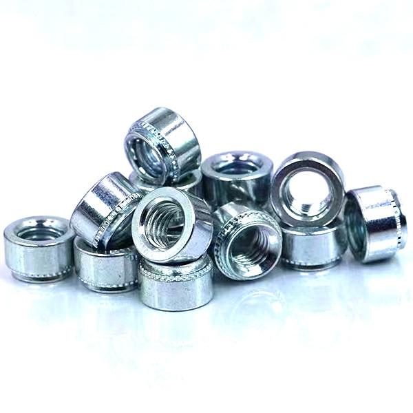 Buy Spcial Shape Precision Self Clinch Rivet Nuts S CLS PS Use for Machinery Customized Service at wholesale prices