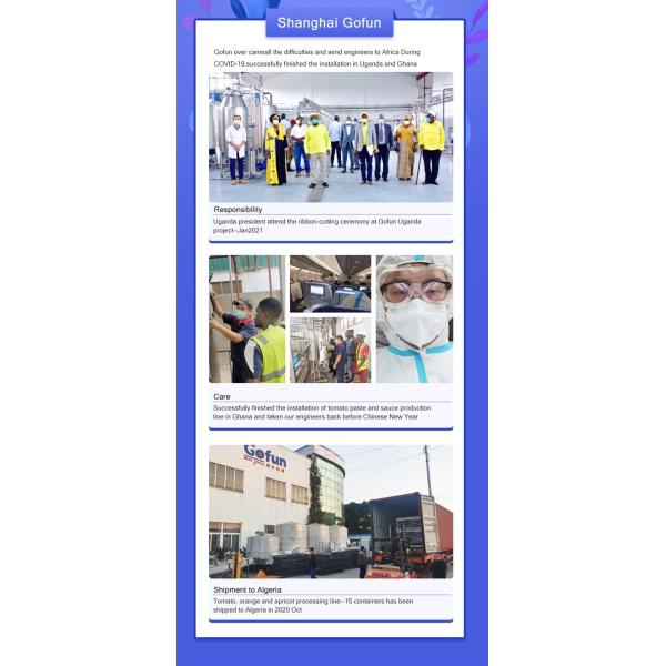 500T/D Guava Pulp Production Line 415V Guava Processing Plant For Concentrated Juice