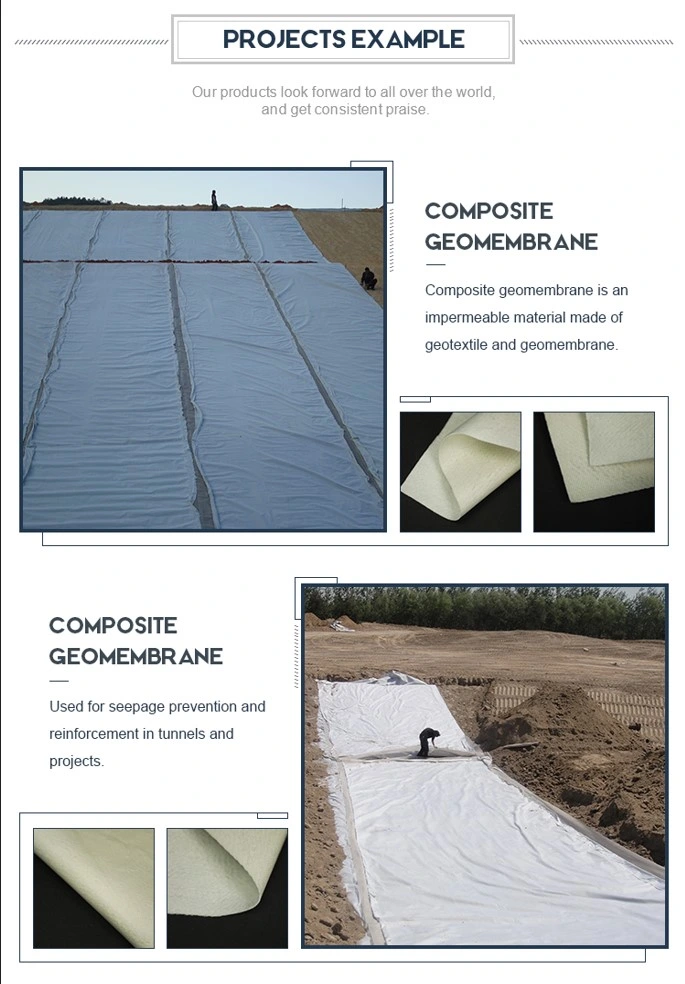 Anti Puncture Anti-Seepage Composite Geomembrane In Geotechnical And Construction Engineering